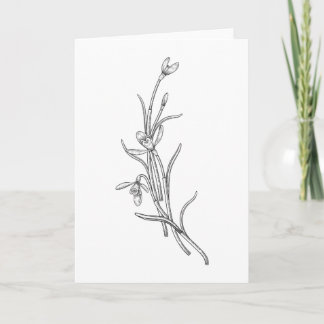 Hand Drawn Snowdrop Flower Folded Greeting Card