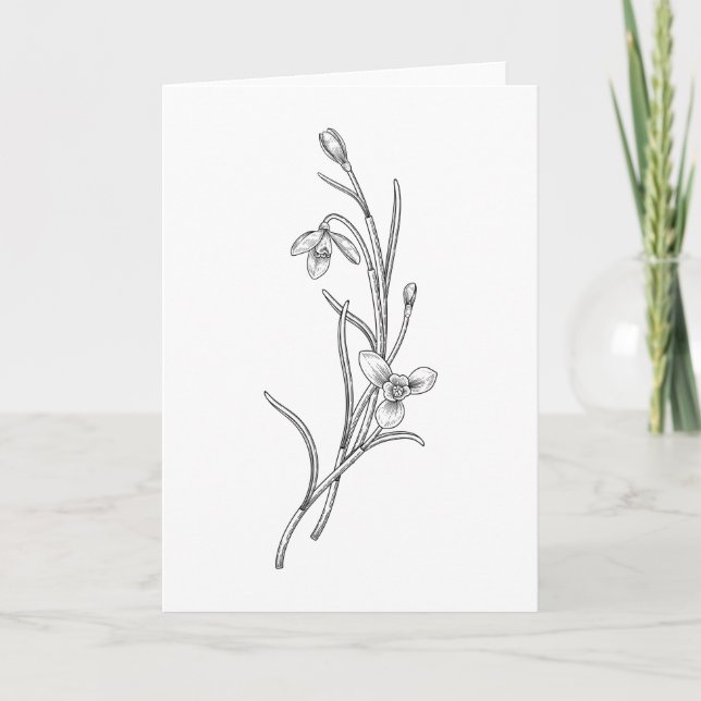 Hand Drawn Snowdrop Flower Folded Greeting Card (Front)