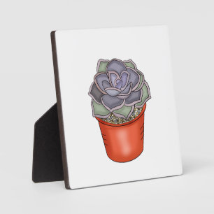 Hand drawn Succulent  Plaque