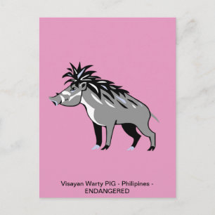 Hand drawn - Warty PIG -Warthog - wildlife- Nature Postcard