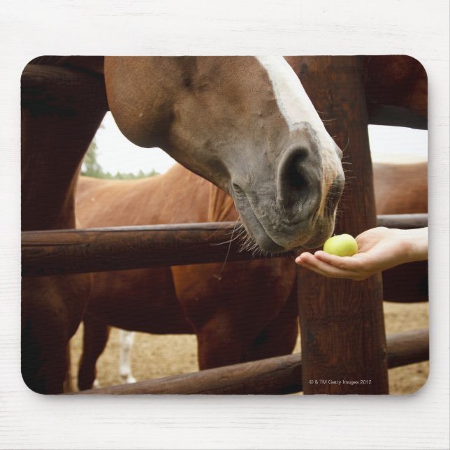 Hand feeding a horse an apple. mouse pad (Front)