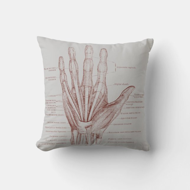 Hand fingers muscles - anatomy cushion (Front)