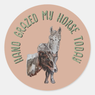 hand grazed my horse today classic round sticker