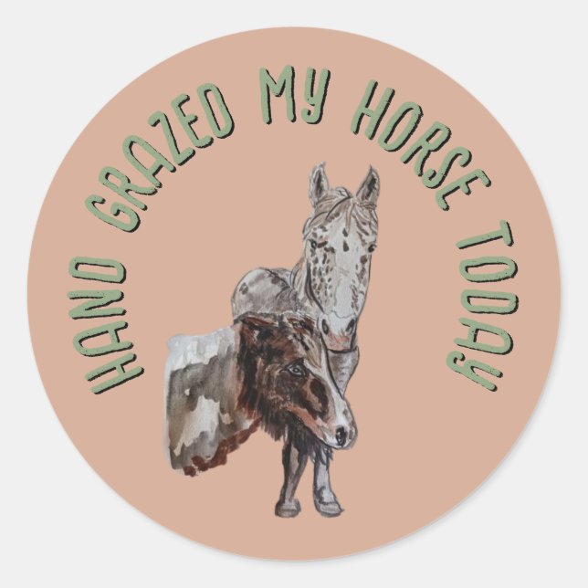 hand grazed my horse today classic round sticker (Front)