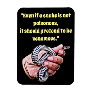 hand holding baby snake quote reptile animals art magnet
