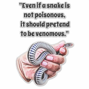 hand holding baby snake reptile quotes art