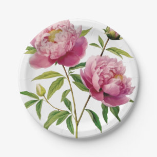 Hand Illustrated Pretty Pink Peonies Price Cut Paper Plate