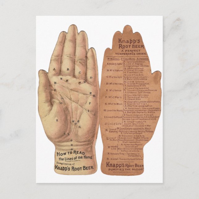 Hand Lines Palm reading Palmistry vintage graphic Postcard (Front)