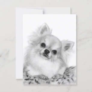 Hand Painted Chihuahua Artwork Postcard