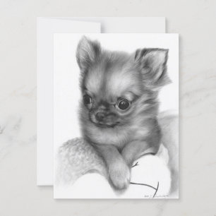Hand Painted Chihuahua Puppy - Gentle Gaze Postcard