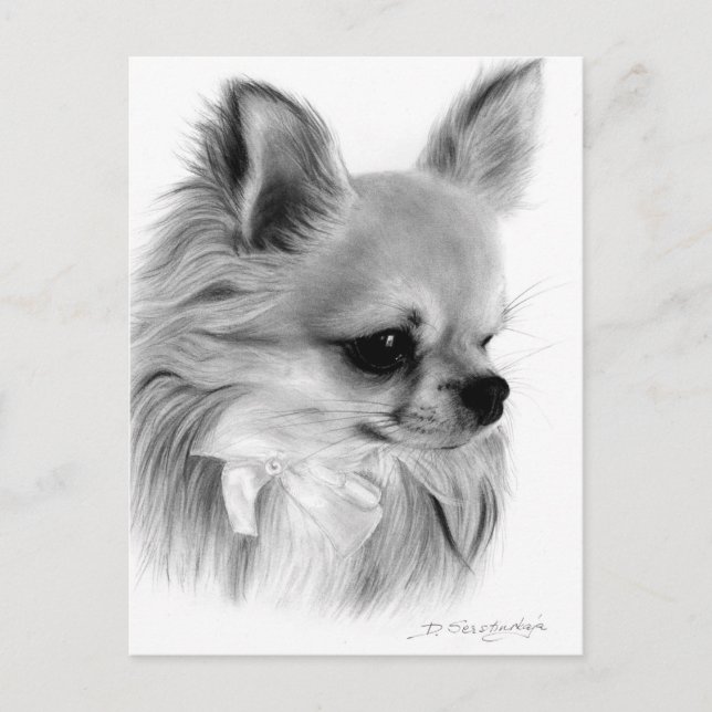 Hand Painted Chihuahua With Bow Artwork Postcard (Front)