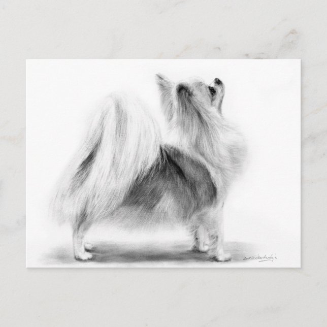 Hand Painted Elegant Long Haired Chihuahua  Postcard (Front)
