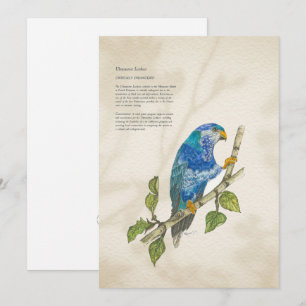 Hand Painted Endangered Lorikeet Greeting Card