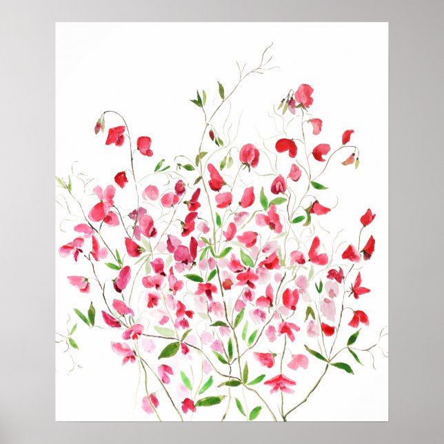 hand painted pink magenta sweet peas 2024 poster (Front)