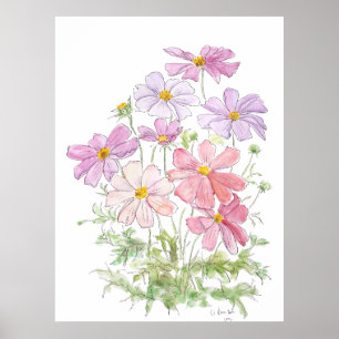 hand painted purple and pink cosmos flowers ink an poster