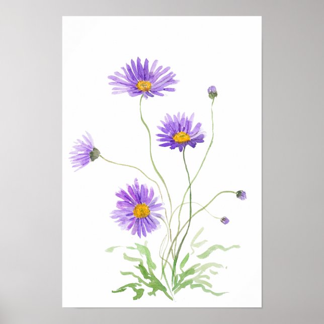 hand painted purple daisy watercolour poster (Front)