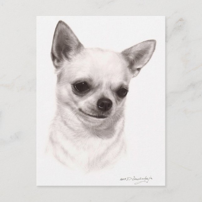 Hand Painted Thoughtful Chihuahua Postcard (Front)
