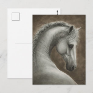 Hand Painted White Horse Portrait Postcard
