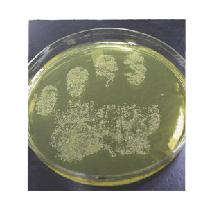 Hand Petri Dish Bacteria Notepad