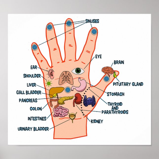 Hand Reflexology 13x12" Poster (Front)