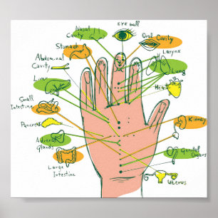 Hand Reflexology  6x5" Poster