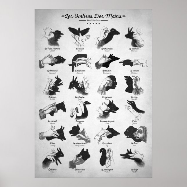 Hand Shadows Poster (Front)