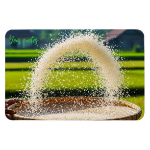 Hand Sifting Fresh Rice Grains Rustic Farm Magnet