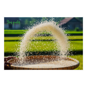 Hand Sifting Fresh Rice Grains Rustic Farm Poster
