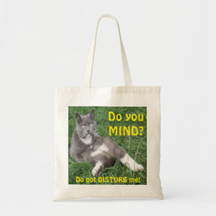 Handbag Cat Do You Mind