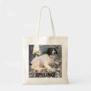 Handbag Sprollie Castle Visit Smiling