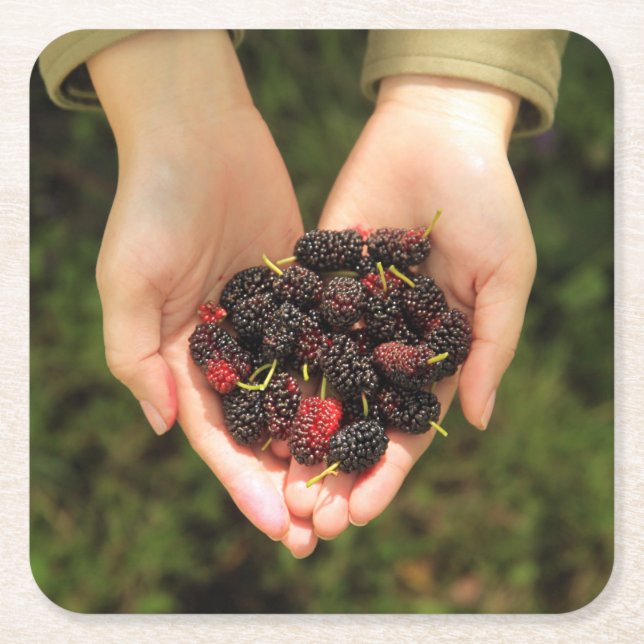 Handful of Mulberry Berries Fresh and Sweet Square Paper Coaster (Front)