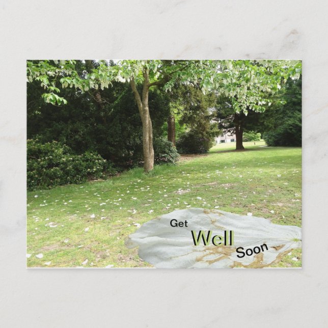 Handkerchief Tree Get Well Soon Postcard (Front)
