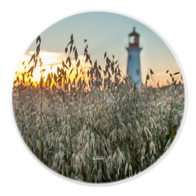 handle of door, photograph of a headlight in ceramic knob (Front)