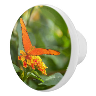 handle of photo door of a butterfly on a flower ceramic knob