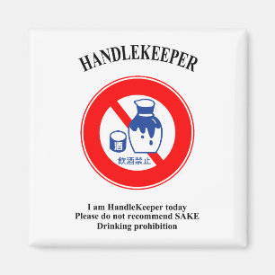 HandleKeeper 1 Magnet