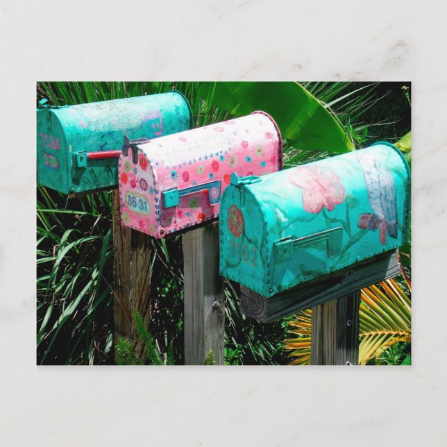 Handpainted Mailboxes in Florida Postcard (Front)