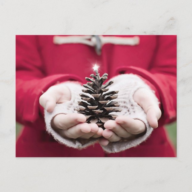 Hands holding a pine cone with a silver star postcard (Front)