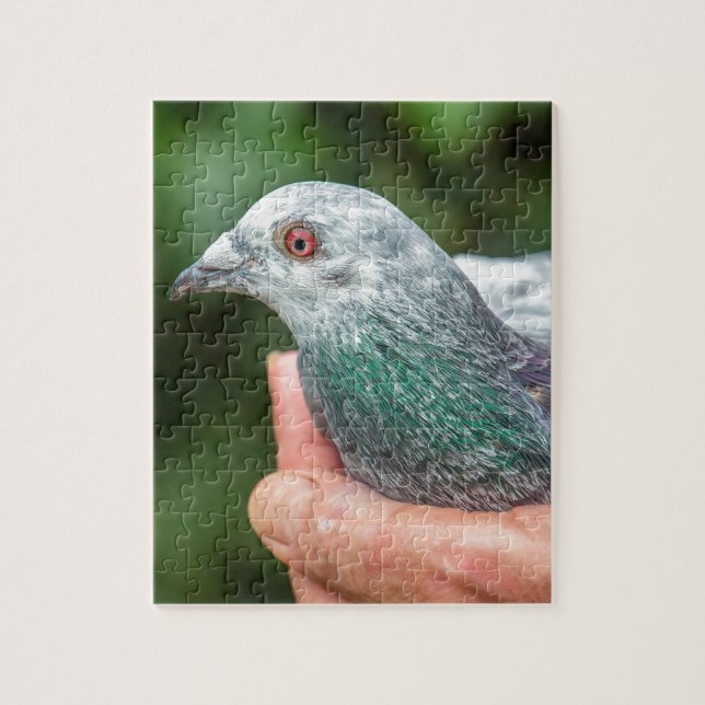 Hands holding racing pigeon outside.JPG Jigsaw Puzzle (Vertical)