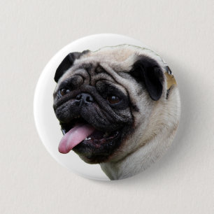 Handsom white Pug photo accessories, add names 6 Cm Round Badge