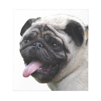 Handsom white Pug photo accessories, add names Notepad