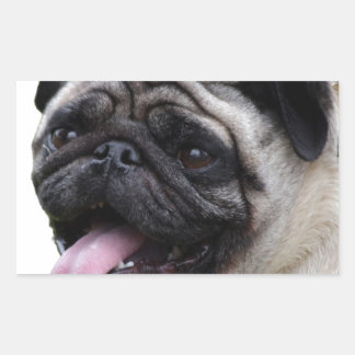 Handsom white Pug photo accessories, add names Rectangular Sticker