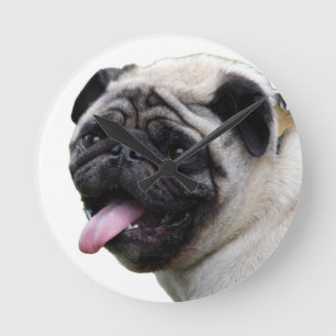 Handsom white Pug photo accessories, add names Round Clock