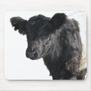 Handsome Belted Galloway Steer Mouse Pad