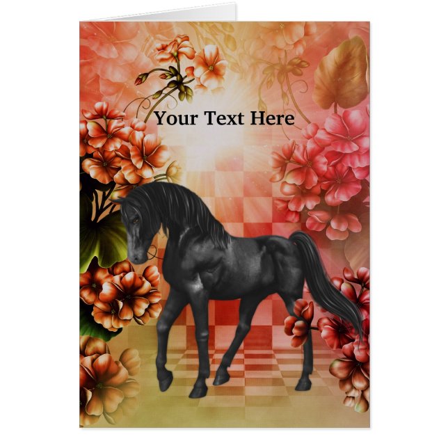 Handsome Black Fantasy Horse Photo (Front)