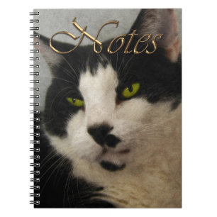 Handsome Black & White Cat Art Portrait Notebook