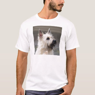 Handsome boy T-Shirt