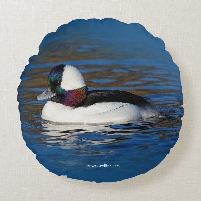 Handsome Bufflehead Duck at the Winter Pond Round Cushion (Front)