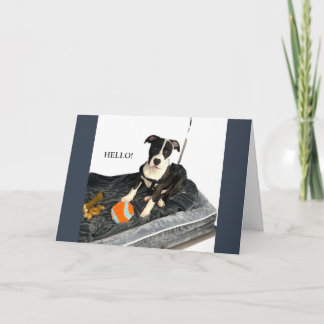 Handsome Bulldog Greeting Card