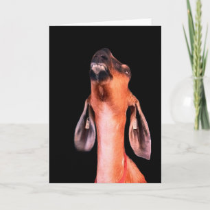 Handsome Card