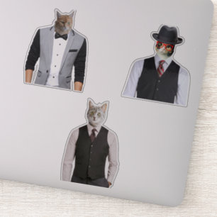 Handsome Cats In Suits